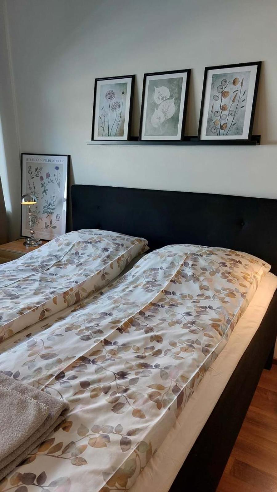 Scandinavian Home Rovaniemi Eksteriør bilde